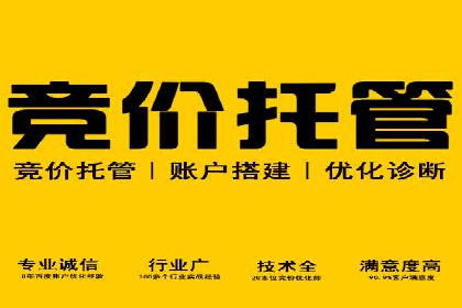 托管SEM竞价全解析：从入门到精通的实战案例